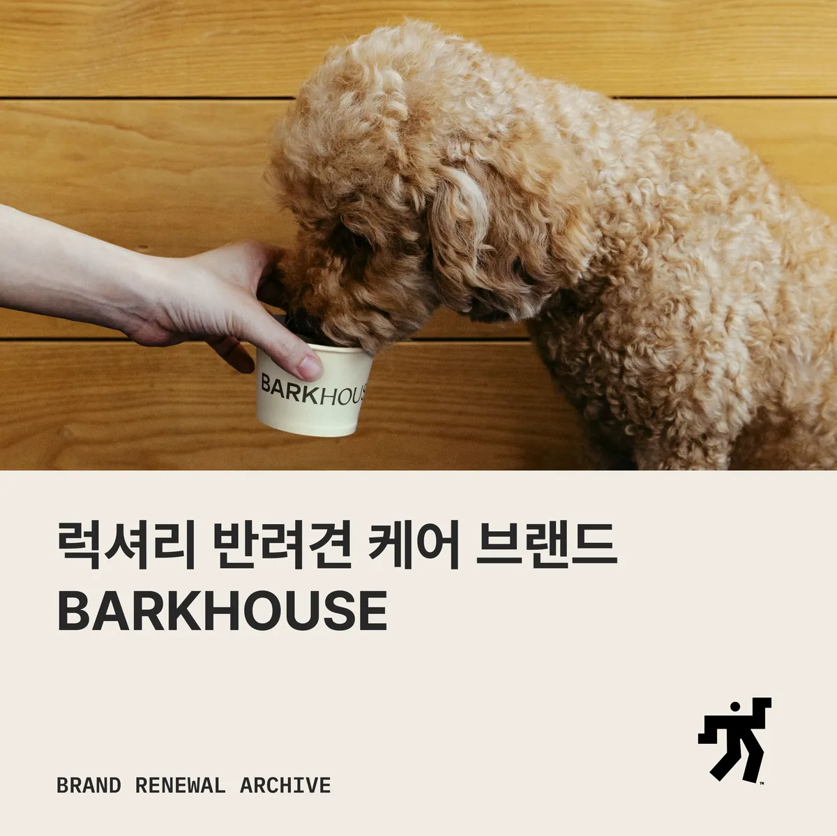 손이 내민 컵에 코를 대는 강아지