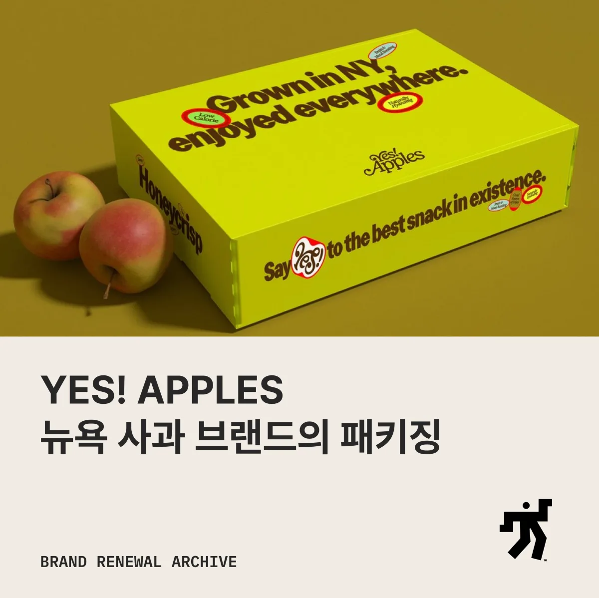 Yes! Apples 리브랜딩 이미지와 소개 문구를 담은 아카이브 카드