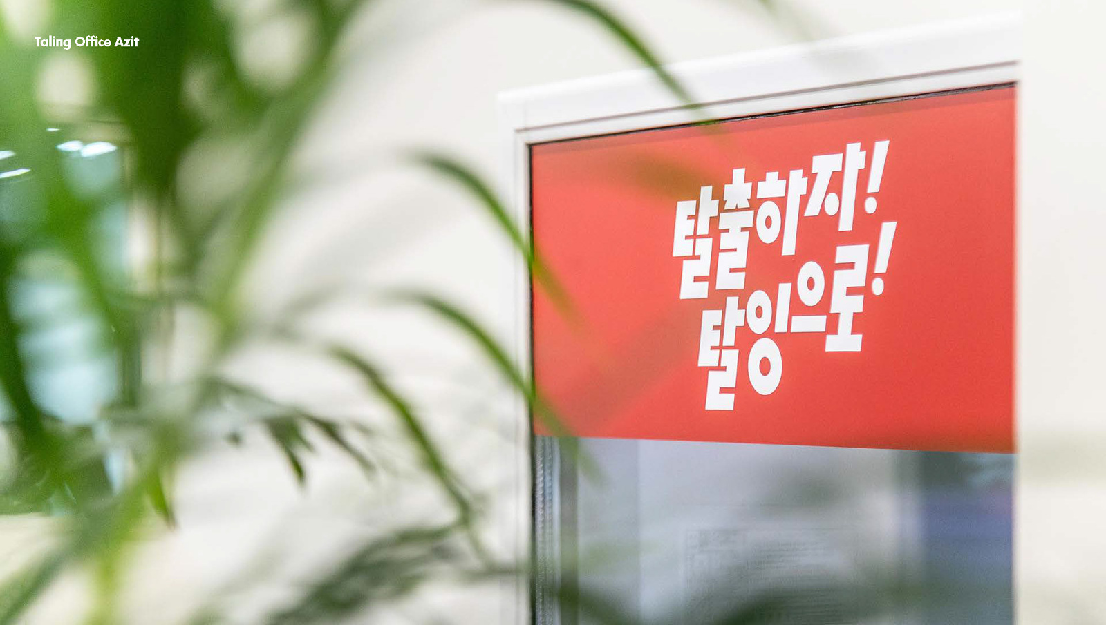 Taling Brand Identity, Duedance