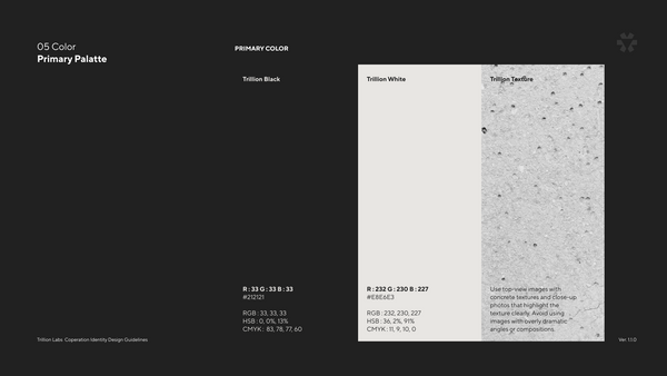 Trillion Labs Branding, Duedance
