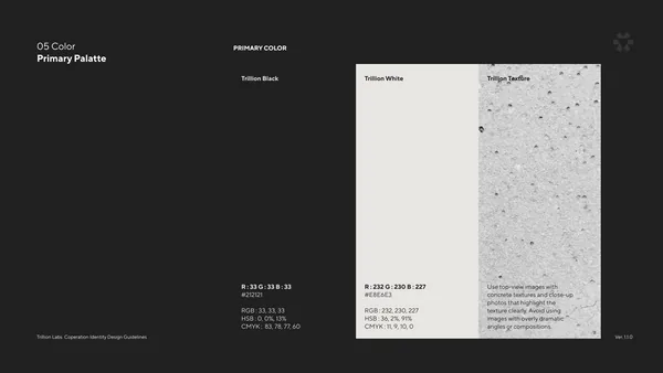 Trillion Labs Branding, Duedance